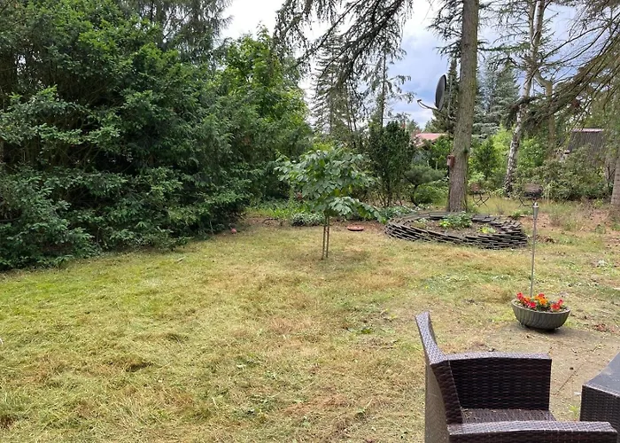 Skippers Am Steinhuder Tatil Evi Rehburg-Loccum